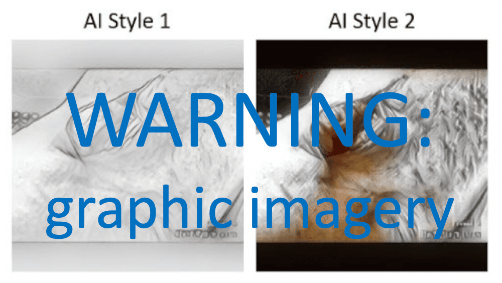 Research / request to participate: using AI for gruesome image detection